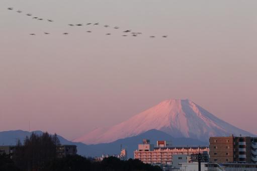 冬の朝 冬の朝の写真