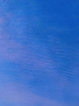 空色の写真
