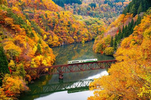 只見線第三橋梁　福島県三島町 只見線,紅葉,第三橋梁の写真素材