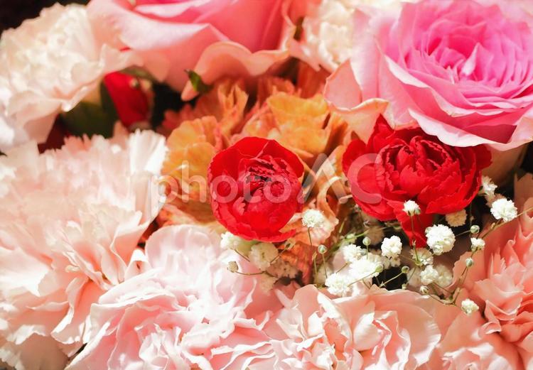たくさんの華やかな赤とピンクの花束写真 花束,ローズ,ブーケの写真素材
