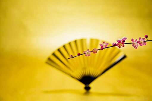 梅の花30 梅の花,扇子,白梅の写真素材