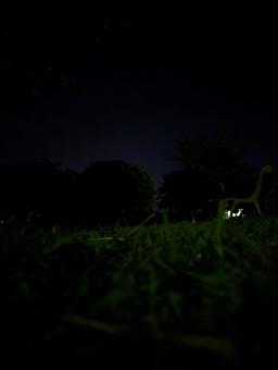 夜の公園 夜の公園 空,自然,風景の写真素材