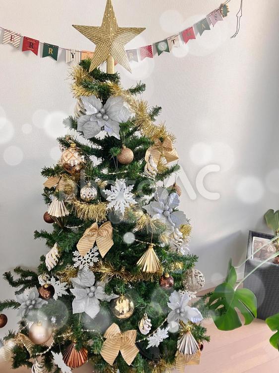 大人っぽいクリスマスツリー クリスマス,クリスマスツリー,クリスマスツリー飾り（昔風）の写真素材