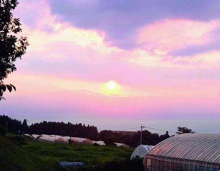 Pale purple sunset, JPG Pale purple sunset, JPG