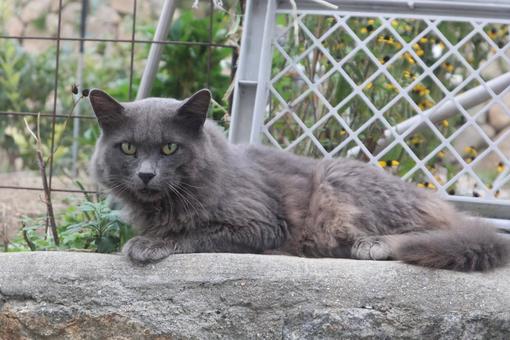 ゆったりタイムの写真