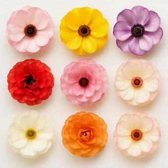 花 3×3グリッド配置 花 3×3グリッド配置の写真