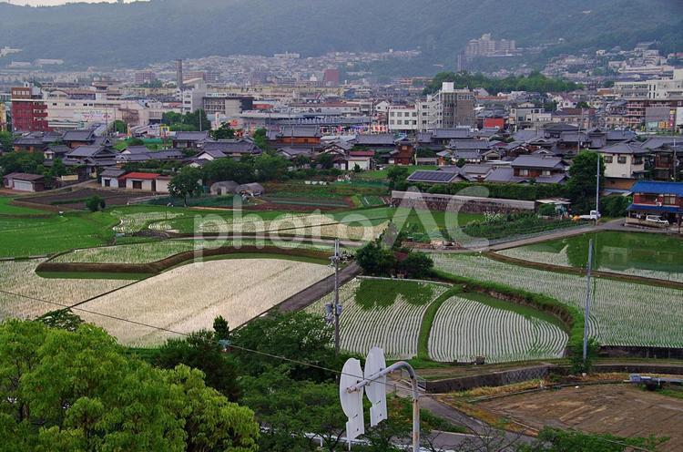 梅雨どきの郊外の風景 梅雨時,曇天,陽射しの写真素材