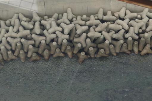 Tetrapods on the coast, JPG