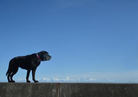 青空 青空の写真