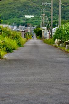 農道 直線道 農道 直線道の写真