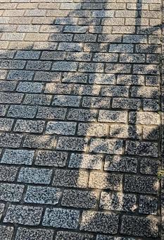 Photo, retro, style, cobblestone, 