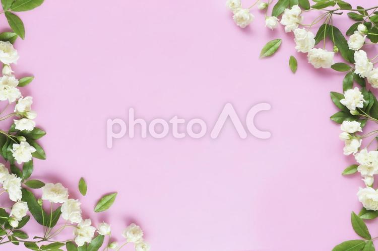 小さな薔薇のフレーム 薔薇,フレーム,ボタニカルの写真素材