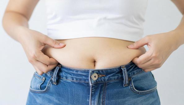 お腹の贅肉をつまむ太った日本人女性の手 お腹の贅肉をつまむ太った日本人女性の手の写真