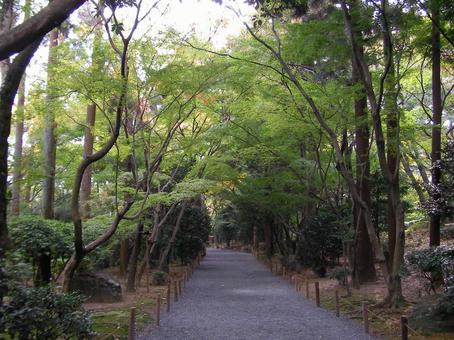 龍安寺　京都の写真