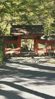 貴船の隠された杜 貴船神社,奥宮,京都の写真素材