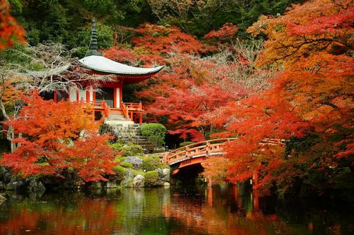 醍醐寺 醍醐寺,紅葉,京都紅葉の写真素材