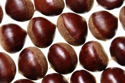 栗　4 栗,秋,fruitsの写真素材