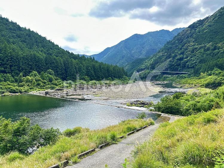 和歌山県　北山村　北山川　山林　 風景,自然,景観の写真素材
