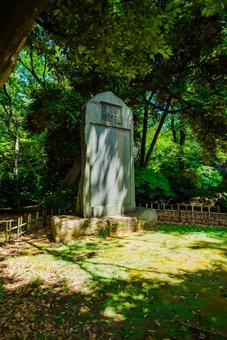 【東京】上野国立博物館 2025 上野,国立博物館,博物館の写真素材