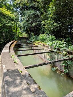 南禅寺水路閣 南禅寺水路閣,水路閣,南禅寺の写真素材