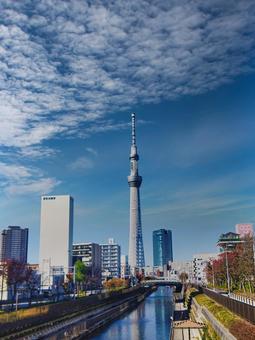 福神橋から東京スカイツリーを眺める 東京スカイツリー,電波塔,河川の写真素材