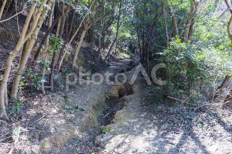 大山登山北1（田原市） 大山,トレッキング,ハイキングの写真素材