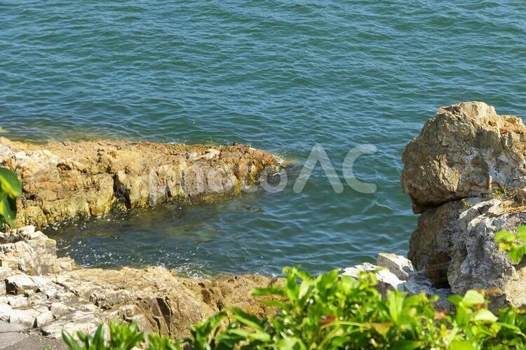 海岸の岩場５ 海岸,岩場,岩の写真素材