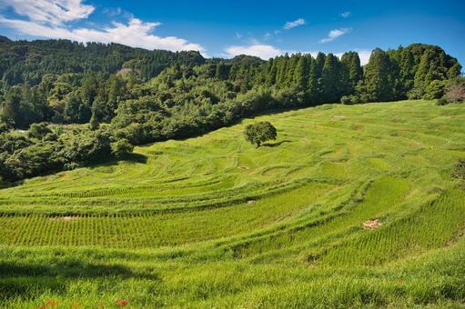 秋空と千枚田 秋空と千枚田 千葉県,千枚田,彼岸花の写真素材