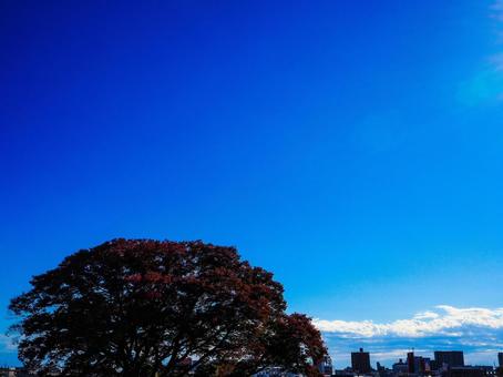 街の風景 街の風景の写真