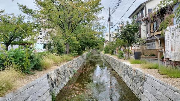 京都 川の写真