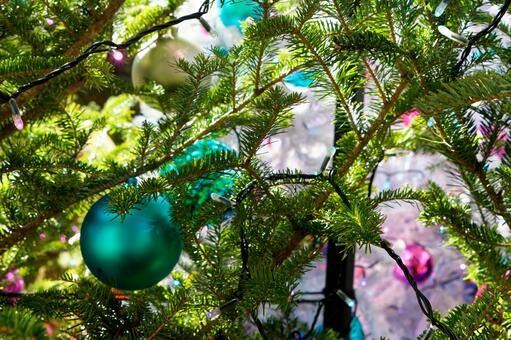 クリスマス６ クリスマス,ツリー,モミの写真素材