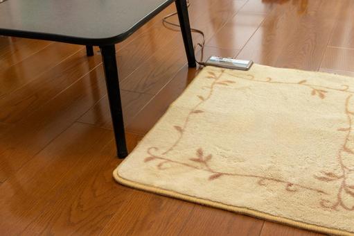 フローリングの上に敷かれた電気カーペット 電気カーペット,カーペット,暖かいの写真素材