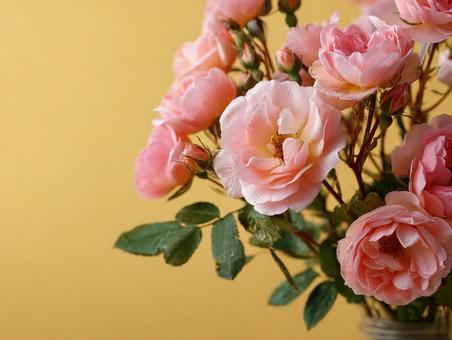 美しいピンクのバラの花束のクローズアップ 美しいピンクのバラの花束のクローズアップの写真