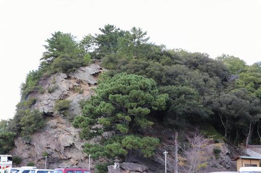玉津島神社　奠供山 玉津島神社,奠供山,たまつしまじんじゃの写真素材
