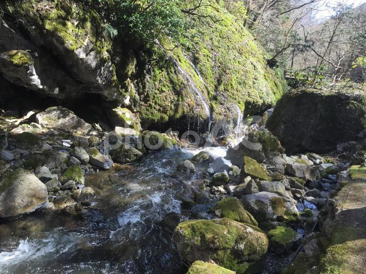 日本の美しい自然 日本,自然,川の写真素材