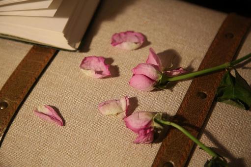 枯れたバラ ばら,背景素材,植物の写真素材