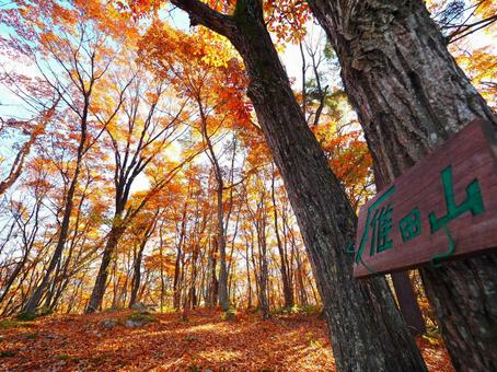 Mt. Karata summit (autumn foliage), JPG