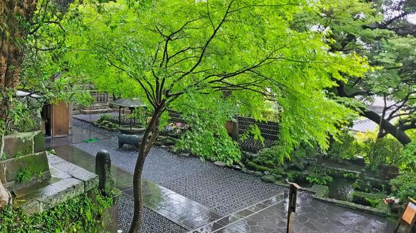 坂東33観音 04番 長谷寺 境内の風景 長谷寺,海光山,慈照院の写真素材