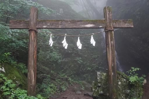 滝 滝の写真