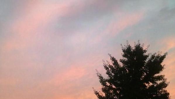 夕焼け木 夕焼け木 夕焼け空,木,風景の写真素材