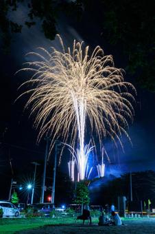 打ち上げ花火 打ち上げ花火,花火,夜空の写真素材