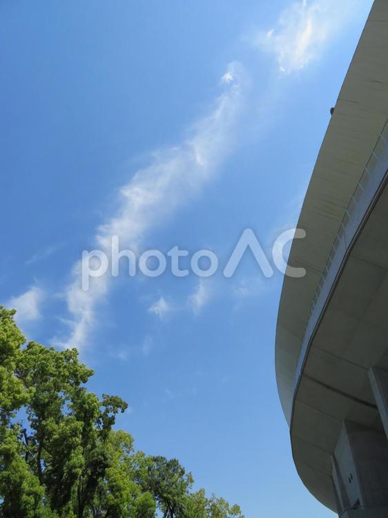 スタジアムのある風景（長居） スタジアム,長居,雲の写真素材