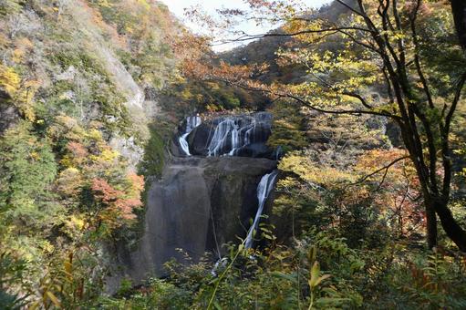 袋田の滝 滝,名瀑,日本三大名瀑の写真素材
