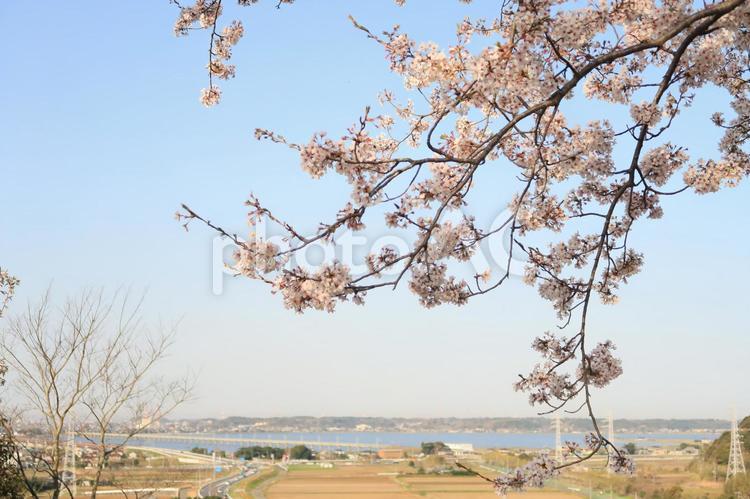 茨城県鹿嶋市鹿島城山公園からの眺望 鹿嶋市,鹿嶋,鹿島の写真素材