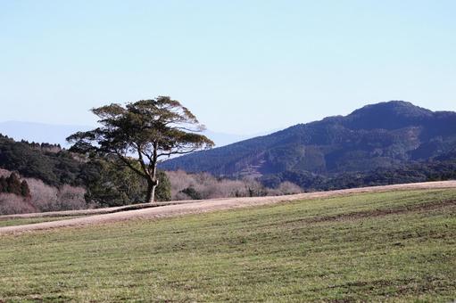 雄大な牧場の風景 雄大な牧場の風景の写真