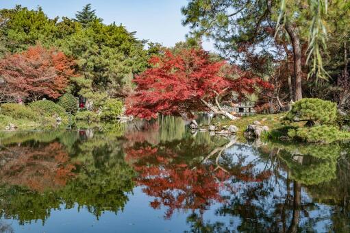 杭州・西湖 花港観魚 西湖,杭州,花港観魚の写真素材