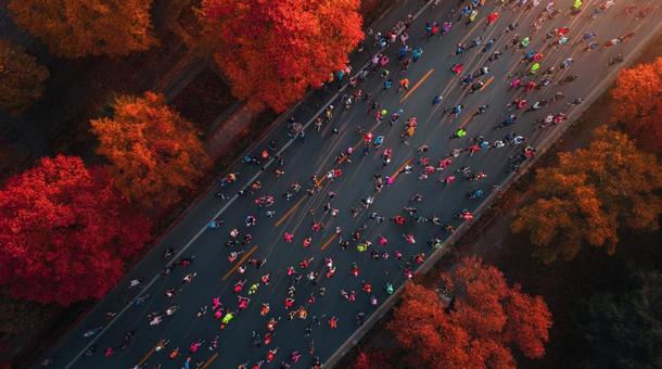 秋のマラソン大会 秋のマラソン大会の写真