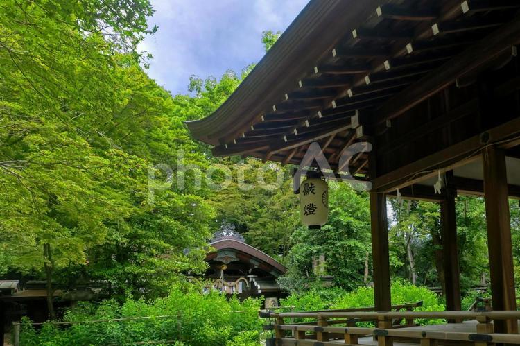 京都・上京区 梨木神社 拝殿・本殿 梨木神社,本殿,拝殿の写真素材