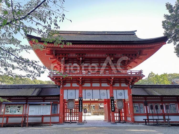京都　下鴨神社　賀茂御祖神社　楼門 京都,下鴨神社,賀茂御祖神社の写真素材