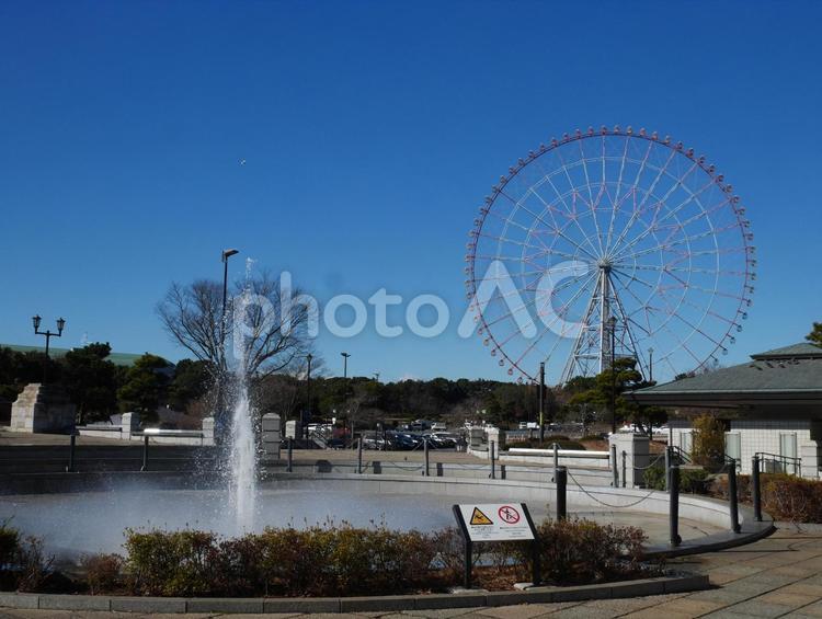 葛西臨海公園駅前 噴水,観覧車,葛西臨海公園駅前の写真素材